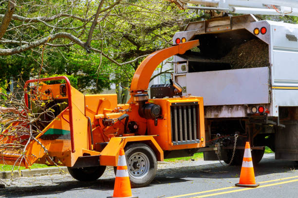 Leaf Removal Services